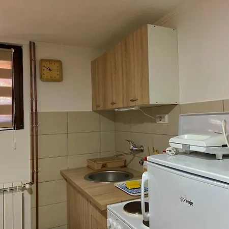 Kuca Za Odmor Andrea Villa Bajina Basta Exterior photo
