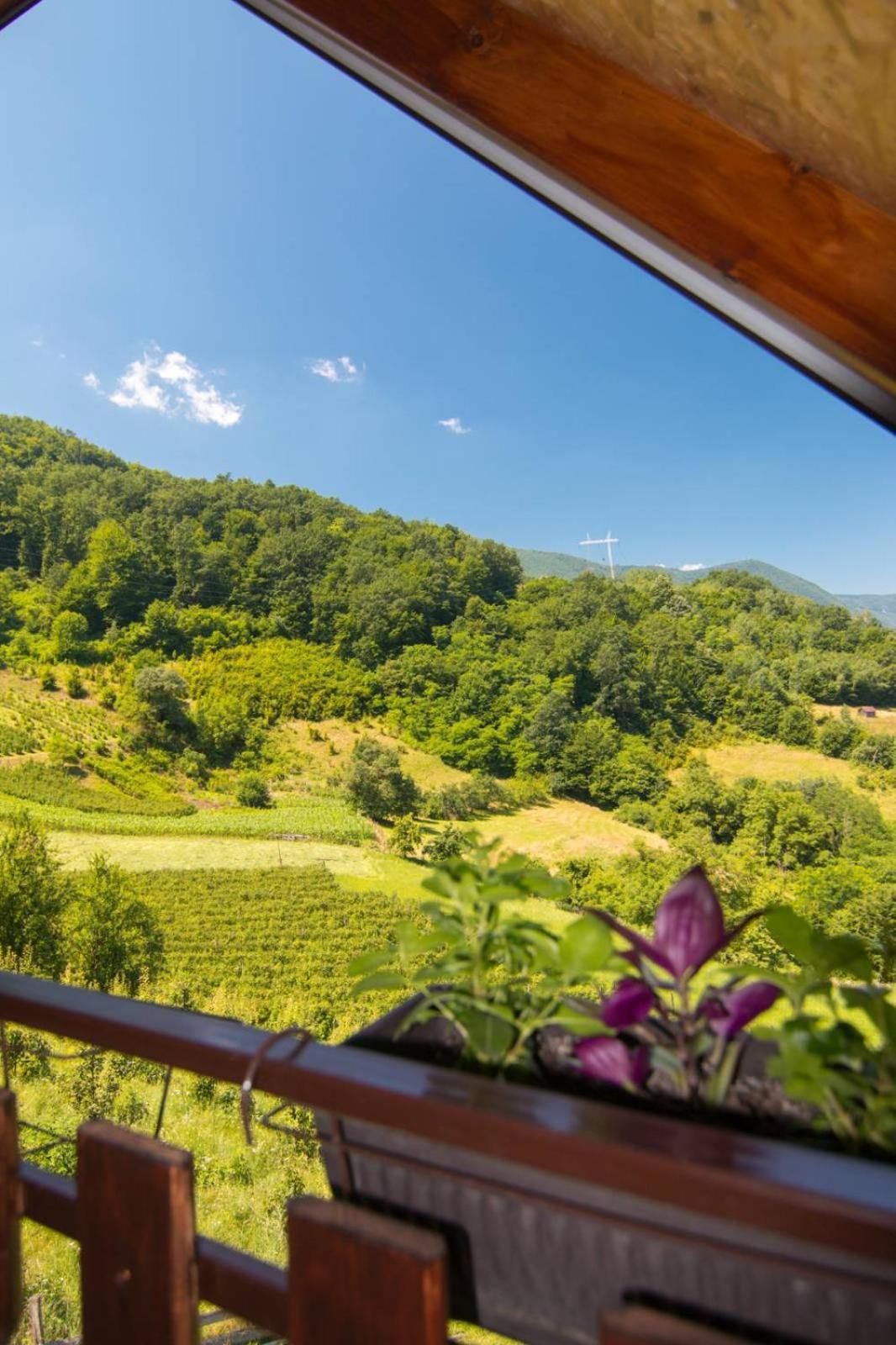 Kuca Za Odmor Andrea Holiday home Bajina Basta