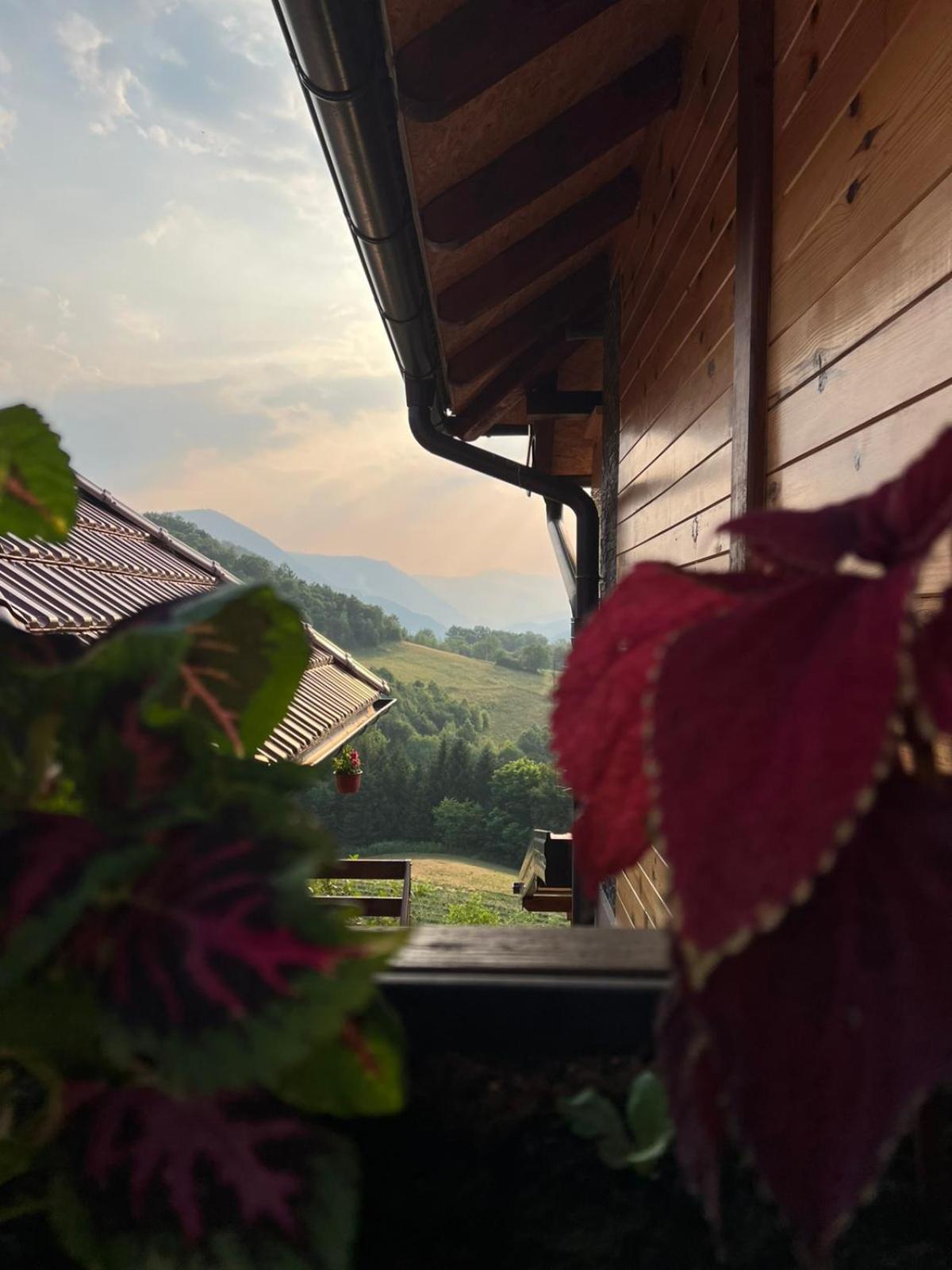Kuca Za Odmor Andrea Tatil Evi *